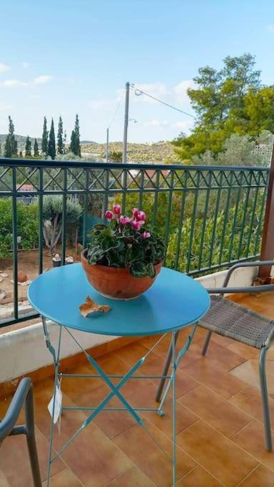 Apartament Marco Polo'S Mooring Cozy Navy House Anavyssos Zewnętrze zdjęcie